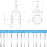 Задвижка VAG EKOPlus DN 250 PN 16 фланцевая клиновая чугунная со штурвалом с обрезиненным клином 2