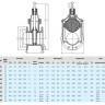 Задвижка HAWLE 4000E1+ DN 250 PN 10 фланцевая клиновая чугунная с обрезиненным клином короткая 3