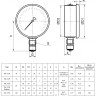 Манометр РОСМА ТМ-121Р.00 (0...0,25 МПа) Дкорп=40мм кл. 2,5 G1/8" коррозионностойкий виброустойчивый радиальный 00000000573 2