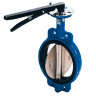 Затвор DENDOR 017W DN 600 PN 10 поворотный дисковый межфланцевый чугунный с редуктором 1