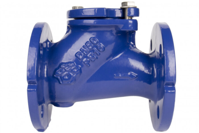 Клапан обратный шаровый фланцевый РАШВОРК 405 Ду65 Ру16 чугунный