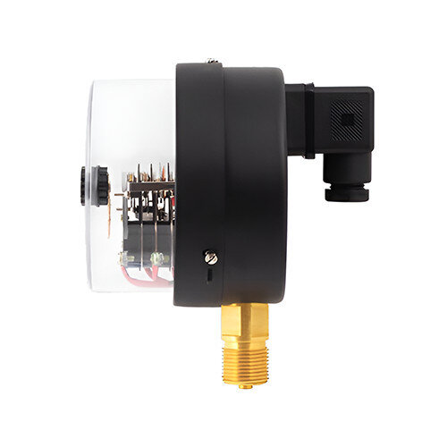 Манометр РОСМА ТМ-510Р.06 (0...1,6 МПа) Дкорп=100мм кл. 1,5 М20х1,5 с ЭКП тип VI, с повышенной пылевлагозащищенностью IP54, общетехнический радиальный 00000031846