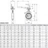 Затвор ЗПНЛ ADL ГРАНВЭЛ DN 125 PN 16 с рукояткой MR 2