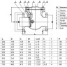 Клапан обратный Benarmo 3041 DN 150 PN 10/16 поворотный фланцевый с чугунным диском 2