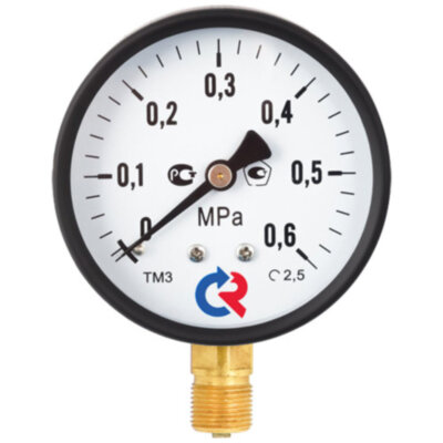 Манометр РОСМА ТМ-310Р.00 (0...0,1 МПа) Дкорп=63мм кл. 2,5 G1/4" общетехнический радиальный 00000006699