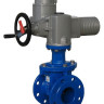 Задвижка VAG EKOPlus DN 65 PN 16 фланцевая клиновая чугунная с электроприводом AUMA SA 07.6 с обрезиненным клином 1