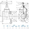Задвижка DENDOR 47GV DN 125 PN 10/16 фланцевая клиновая чугунная под штурвал с обрезиненным клином 2