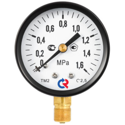 Манометр РОСМА ТМ-210Р.00 (0...40 МПа) Дкорп=50мм кл. 2,5 G1/4" общетехнический радиальный 00000034925