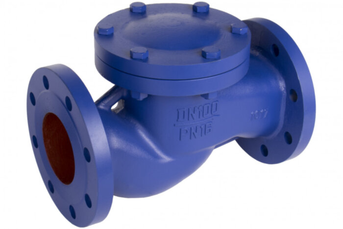 Клапан обратный подъемный РАШВОРК 487 Ду80 Ру16 фланцевый чугунный