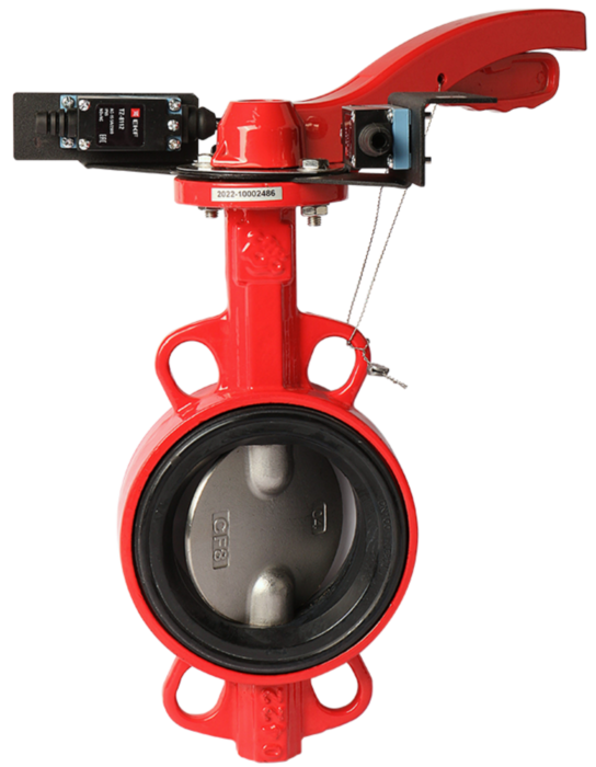 Затвор дисковый поворотный РАШВОРК 201 Ду100 Ру16 межфланцевый чугунный, диск - нерж. сталь AISI304 (CF8)с редуктором