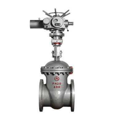 Задвижка 30лс964нж Ду600 Ру 25 стальная с электроприводом