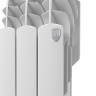 Радиатор биметаллический Royal Thermo Vittoria 350 VD (3 секции) Bianco Traffico 3
