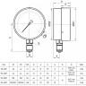 Вакуумметр РОСМА ТВ-510Р.00 (-1...0 кгс/см2) Дкорп=100мм кл. 1,5 M20x1,5 общетехнический радиальный 00000032135 2