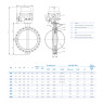 Затвор DENDOR 017W DN 700 PN 10 поворотный дисковый межфланцевый чугунный с электроприводом 2