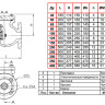 Клапан Tecofi CB3241 DN 65 обратный створчатый фланцевый PN 16 2