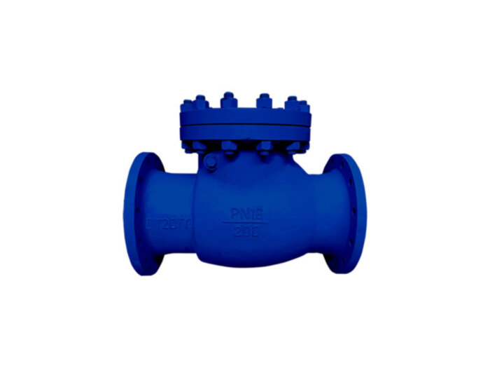 Клапан обратный 19лс76нж Ду 50 Ру 16 поворотный фланцевый