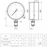 Манометр РОСМА ТМ-510Р.00 IP54 (0...0,1 МПа) Дкорп=100мм кл. 1,5 G1/2" общетехнический с повышенной пылевлагозащищенностью радиальный 00000038530 2