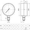 Манометр РОСМА ТМ-510Р.00 М2 (0...2,5 МПа) Дкорп=100мм кл. 1,5 G1/2" общетехнический радиальный 00000007189 2