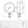 Мановакуумметр РОСМА ТМВ-510Р.00 (-0,1...1,5 МПа) Дкорп=100мм кл. 1,5 G1/2" общетехнический радиальный 00000007308 2