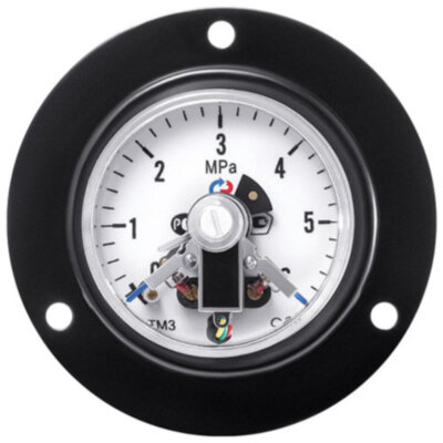 Манометр РОСМА ТМ-310ТКП.05 (0...0,6 МПа) Дкорп=63мм кл. 2,5 G1/4" общетехнический с ЭКП и передним фланцем, осевой 00000033921