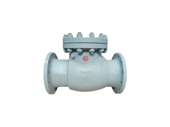 Клапан обратный 19с76нж Ду 65 Ру 16 поворотный фланцевый