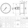Манометр РОСМА ТМ-321Т.00 (0...100 МПа) Дкорп=63мм кл. 1,5 G1/4" коррозионностойкий виброустойчивый осевой 00000041079 2