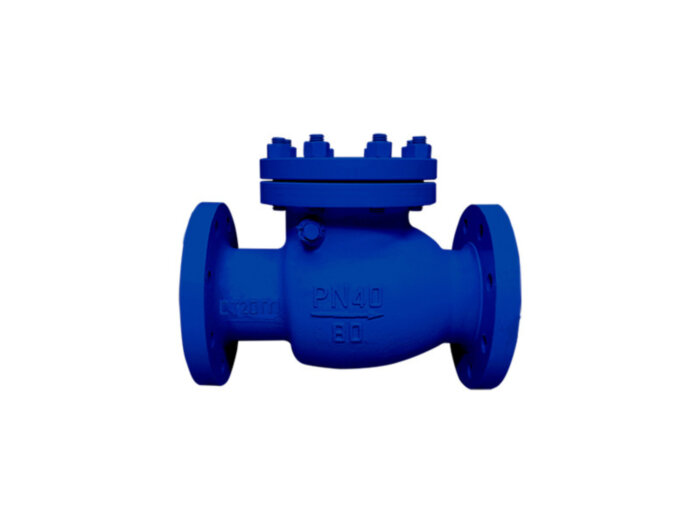 Клапан обратный 19лс53нж Ду 65 Ру 40 поворотный фланцевый