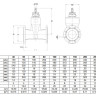 Задвижка VAG BETA 200 DN 300 PN 16 клиновая длинная 2