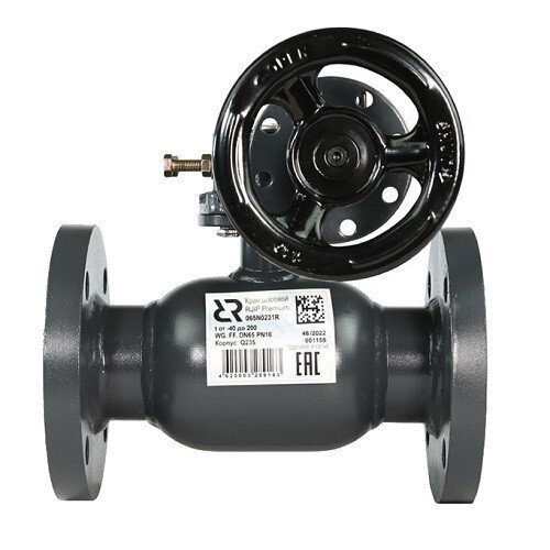 Кран шаровой Ридан RJiP Premium FF WG DN 65 PN 25 стальной стандартнопроходный фланцевый с ручным редуктором