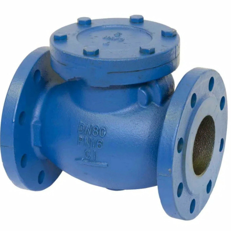Клапан Tecofi CB3240 DN 100 обратный створчатый фланцевый PN 16 1