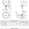 Термометр биметаллический ЭКОМЕРА БТ-1 Ду 63, Т 0-160C, L=80 3