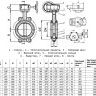 Затвор дисковый чугунный Benarmo 2010R DN 250 PN 10/16 поворотный межфланцевый с редуктором EURO 2