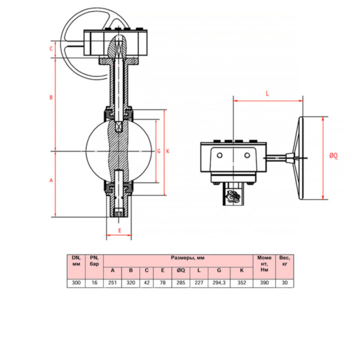 Затвор дисковый поворотный РАШВОРК 201 Ду300 Ру16 межфланцевый чугунный с электроприводом РАШВОРК 900 220В