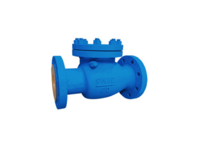 Клапан обратный 19нж53нж Ду 65 Ру 40 поворотный фланцевый