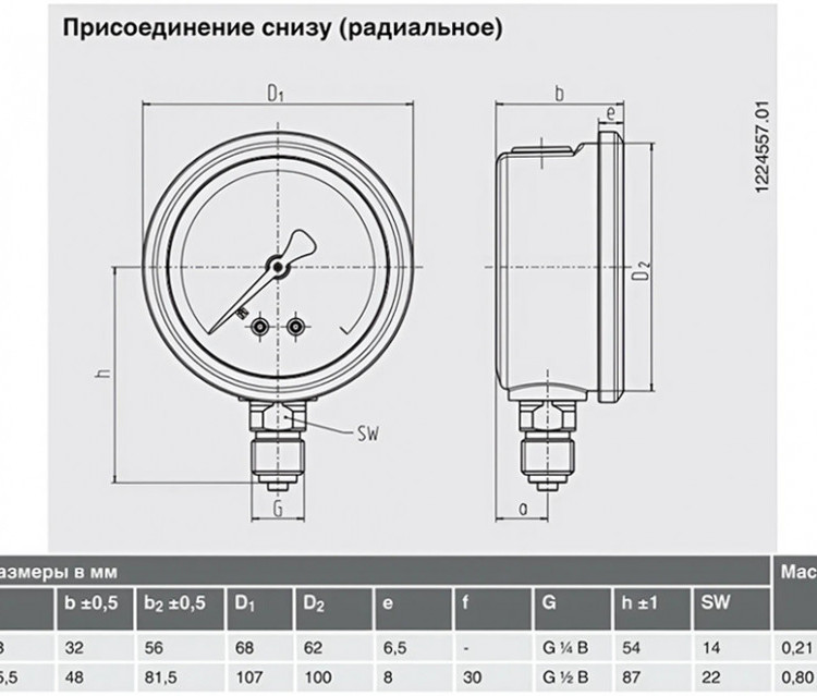 Манометр гидрозаполненный 213.53.63 радиальный Дк63мм 0-0,6 бар кл.1,6 G1/4" глицерин Wika 31104197 2