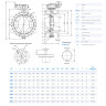 Затвор DENDOR 023F DN 1000 PN 10 поворотный дисковый c двумя эксцентриситетами фланцевый чугунный с редуктором 2