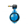 Затвор дисковый чугунный Benarmo 2050R DN 250 PN 10/16 поворотный межфланцевый с редуктором Рус 1