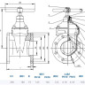Задвижка DENDOR 47GV DN 65 PN 10/16 фланцевая клиновая чугунная под штурвал с обрезиненным клином 2