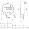 Манометр РОСМА ЦМ-С-И-521Р (0…1,6 MПa) Дкорп=100мм кл. 0,25 M20x1,5 цифровой радиальный с аналоговым выходом 4-20мА+2PNP УТ-00050277 2