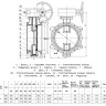 Затвор дисковый чугунный Benarmo 2210RA DN 500 PN 10 поворотный фланцевый двухэксцентриковый с редуктором 2