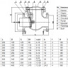 Клапан обратный Benarmo 3041 DN 300 PN 10/16 поворотный фланцевый с чугунным диском 2