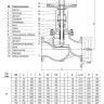 Клапан запорный Benarmo 3211W DN 150 PN 40 сильфонный стальной 2