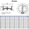 Клапан Kvant KV04 DN 100 PN 16 обратный межфланцевый двухстворчатый 3