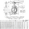 Затвор дисковый чугунный Benarmo 2010HA DN 65 PN 16 поворотный межфланцевый с рукояткой EURO 2