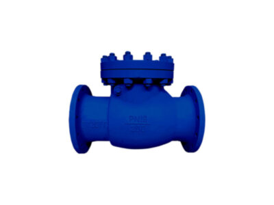 Клапан обратный 19лс76нж Ду 125 Ру 16 поворотный фланцевый