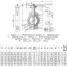 Затвор дисковый чугунный Benarmo FBV-A DN 80 PN 10/16 поворотный межфланцевый с рукояткой с концевыми выключателями EURO 2