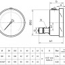 Манометр РОСМА ТМ-521ТЭ.00 NH3 (0...6 МПа) Дкорп=100мм кл. 1,0 G1/2" коррозионностойкий виброустойчивый эксцентрический, аммиак УТ-00050475 2