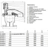 Клапан AVK 701/60 DN 200 PN 16 воздушный комбинированный фланцевый 2