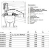 Клапан AVK 701/60 DN 80 PN 16 воздушный комбинированный фланцевый 2