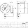 Манометр РОСМА ТМ-521Р.01 (0...40 МПа) Дкорп=100мм кл. 1,5 M20x1,5 коррозионностойкий виброустойчивый с ЭКП радиальный 00000026962 2